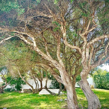 Starbal Apt Es Castell  Kültér fotó